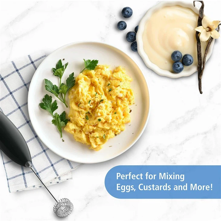 Handheld Milk Frother best